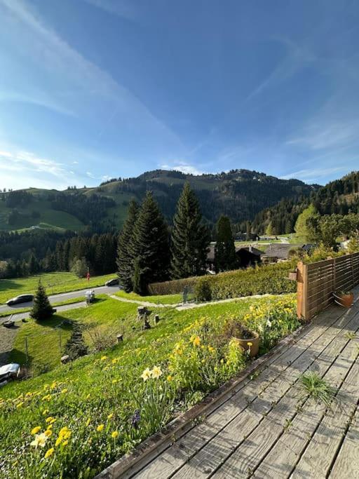 Chalet Du Moleson Gruyeres Eksteriør billede