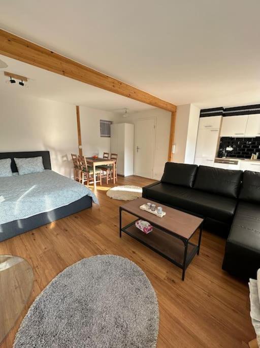 Chalet Du Moleson Gruyeres Eksteriør billede